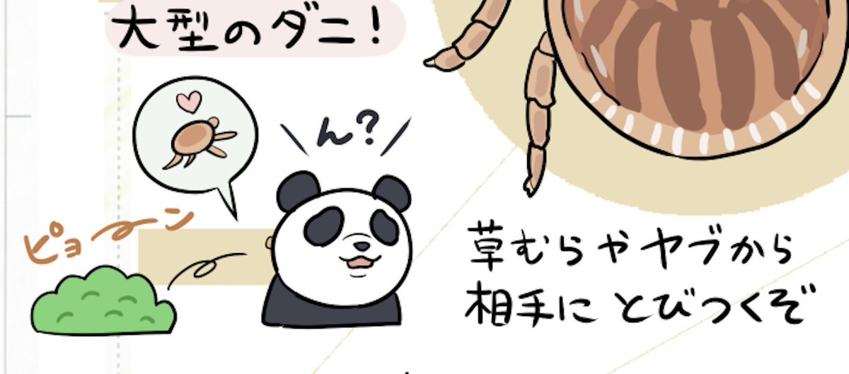 ぬまがさワタリ あ ちょっと待って じゅじゅさんぽのパンダ先輩の おひさまの匂い ってもしかしてアレか あの都市伝説の 死んだダニがおひさまの匂いって そういうアレ だとしたら ご ごめんパンダ先輩 なんか ごめん ウワーッ 呪術廻戦 ぬまがさワタリ あ ちょっと待って じゅじゅさんぽのパンダ先輩の おひさまの匂い ってもしかしてアレか あの都市伝説の 死んだダニがおひさまの匂いって そういうアレ だとしたら ご ごめんパンダ先輩 なんか ごめん ウワーッ 呪術廻戦