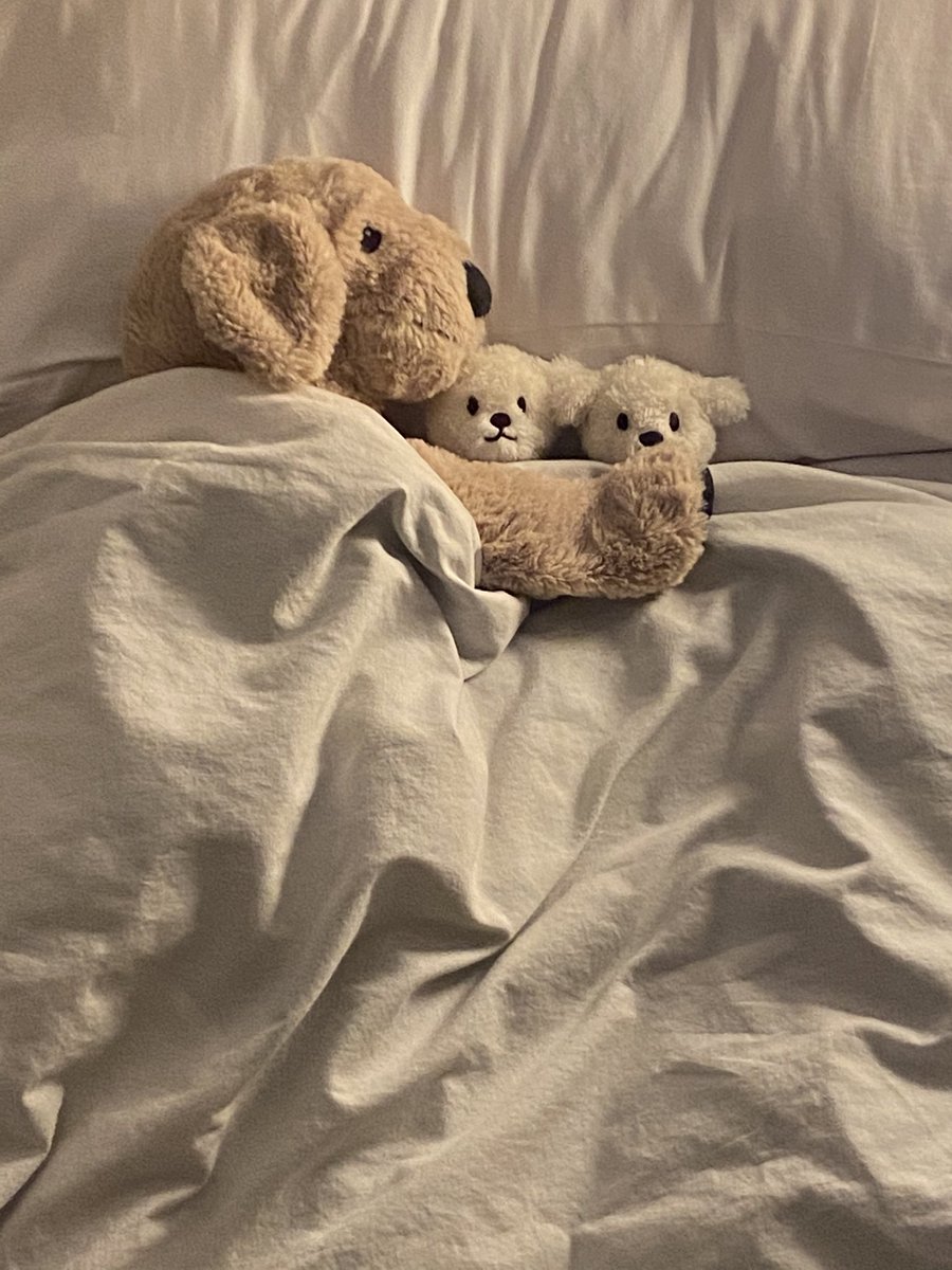 JWPuppydooKim's tweet photo. sweet dream kub🏡 https://t.co/f3kW2uaQgu