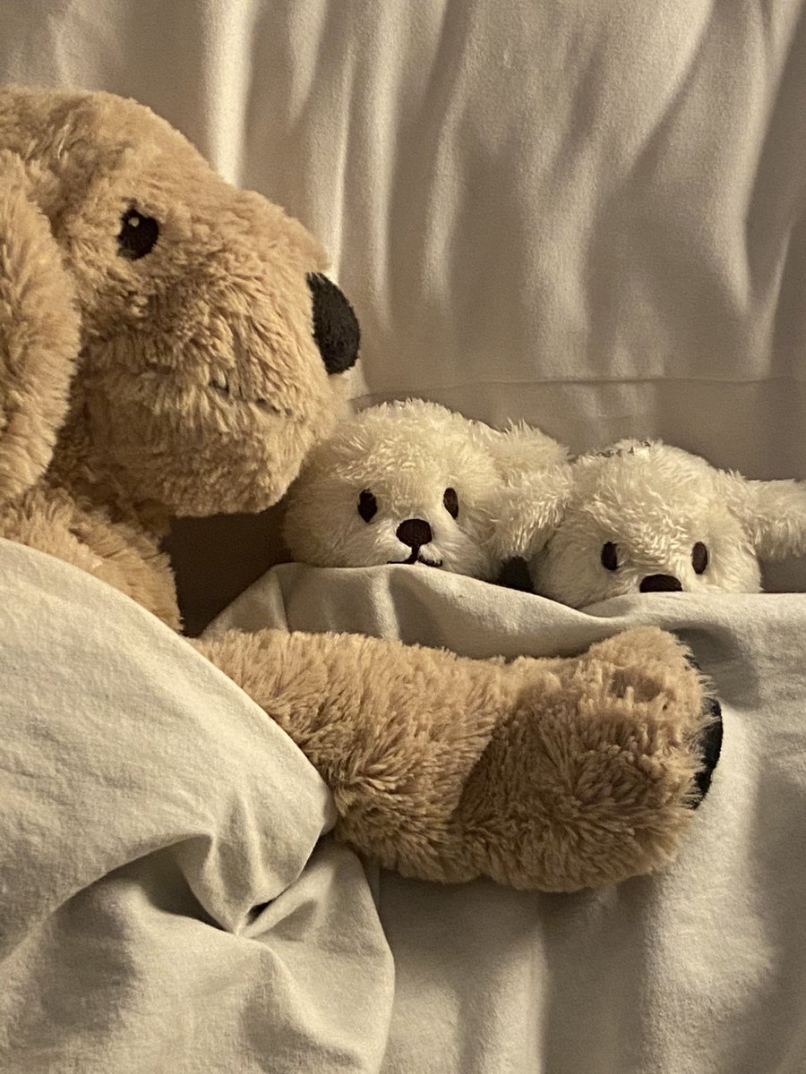 JWPuppydooKim's tweet photo. sweet dream kub🏡 https://t.co/f3kW2uaQgu
