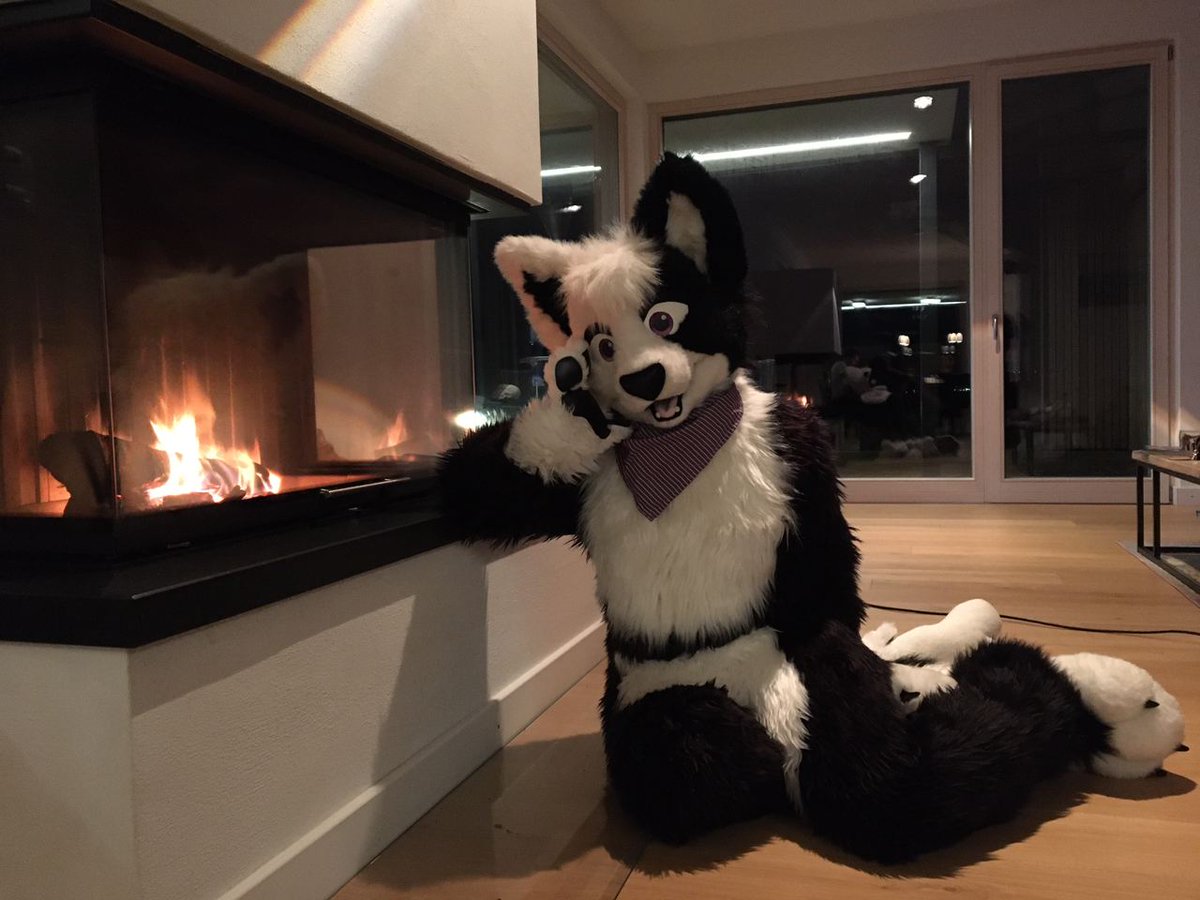 Chii 💜 🔥
#FursuitFriday