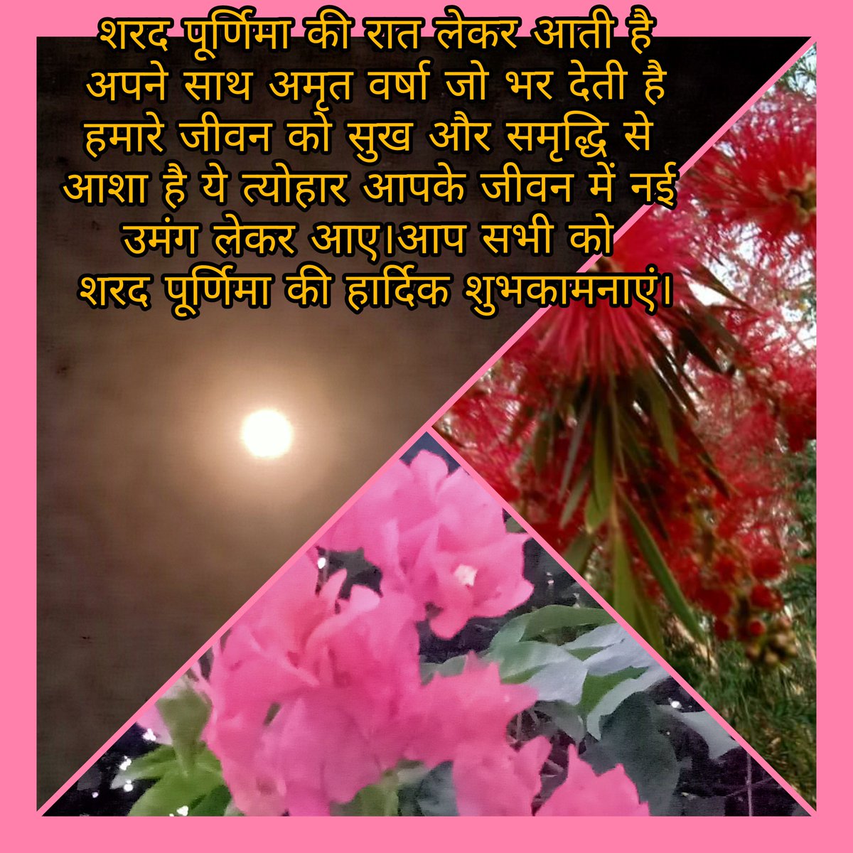 RAJIBKUMARSHAR1's tweet photo. 🌹शरद पूर्णिमा की रात लेकर आती है, अपने साथ अमृत वर्षा जो भर देती है, हमारे जीवन को सुख और समृद्धि से आशा है, ये त्योहार आपके जीवन में नई उमंग लेकर आए।आप सभी को शरद पूर्णिमा की हार्दिक शुभकामनाएं।🌹#lifewithnature @gudurajib https://t.co/c2utfVDs17