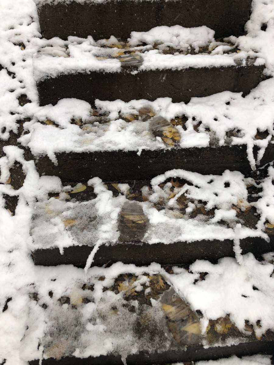AmyEO's tweet photo. What would Jim OโLeary say about this?! Wet leaves iced over with snow?! 2020... you are consistent. #SnowInOctober #NewEngland ๏ฟผ https://t.co/B6Yibso06M