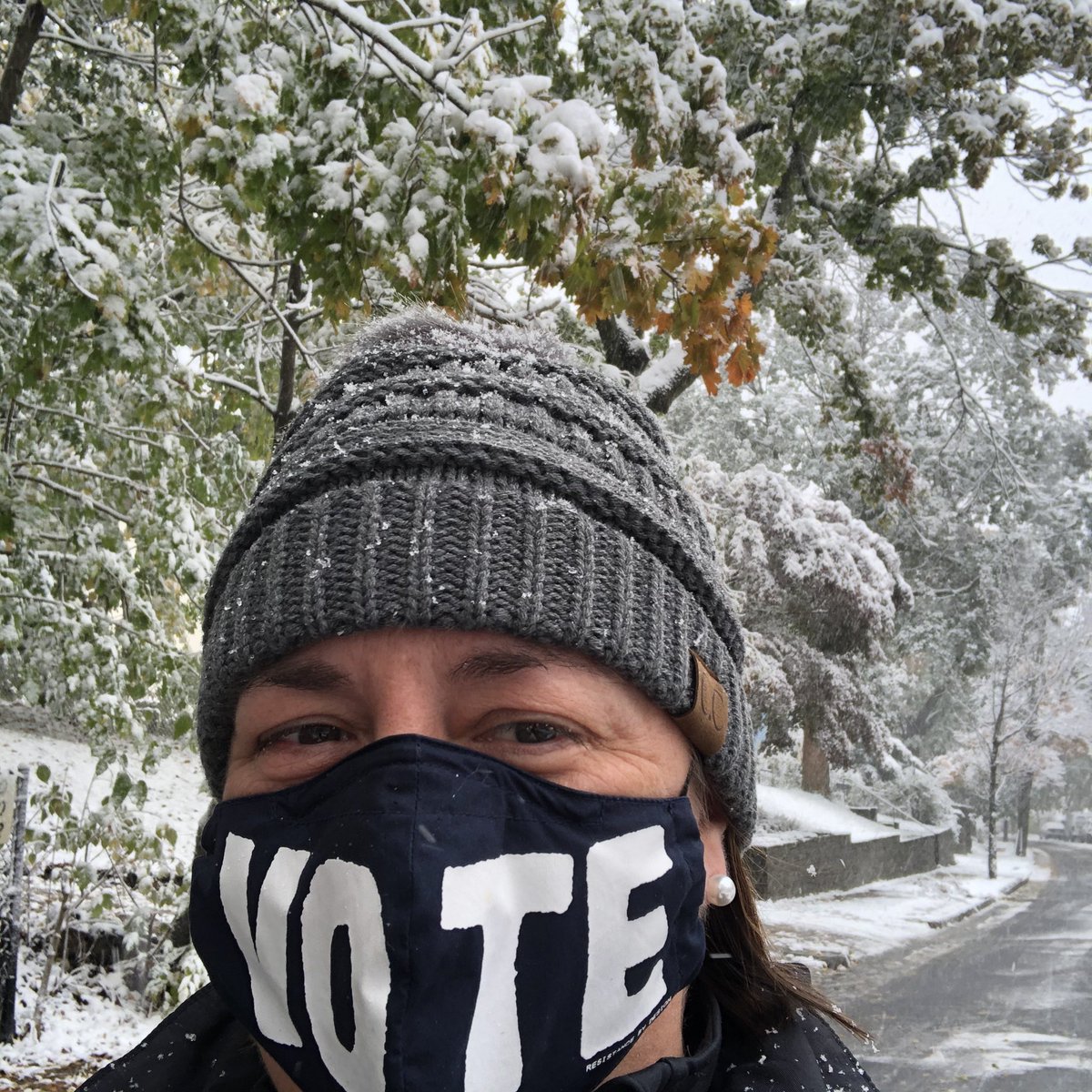 AmyEO's tweet photo. What would Jim OโLeary say about this?! Wet leaves iced over with snow?! 2020... you are consistent. #SnowInOctober #NewEngland ๏ฟผ https://t.co/B6Yibso06M