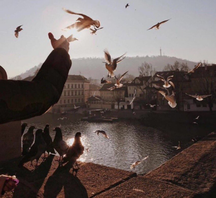 GEYER__'s tweet image. لا أؤمن بالصُدف ، كنت دائماً أرى الله في كل شئ ."