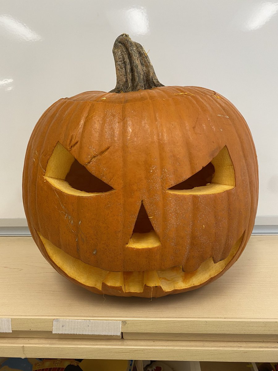 The Cougars are doing lots of fun activities today! Classes are making spooky scenes with simple materials, making origami bats, counting pumpkin seeds to see who has the most, guessing how many pumpkins tall the friends are and making haunted percussion music at their desks!
