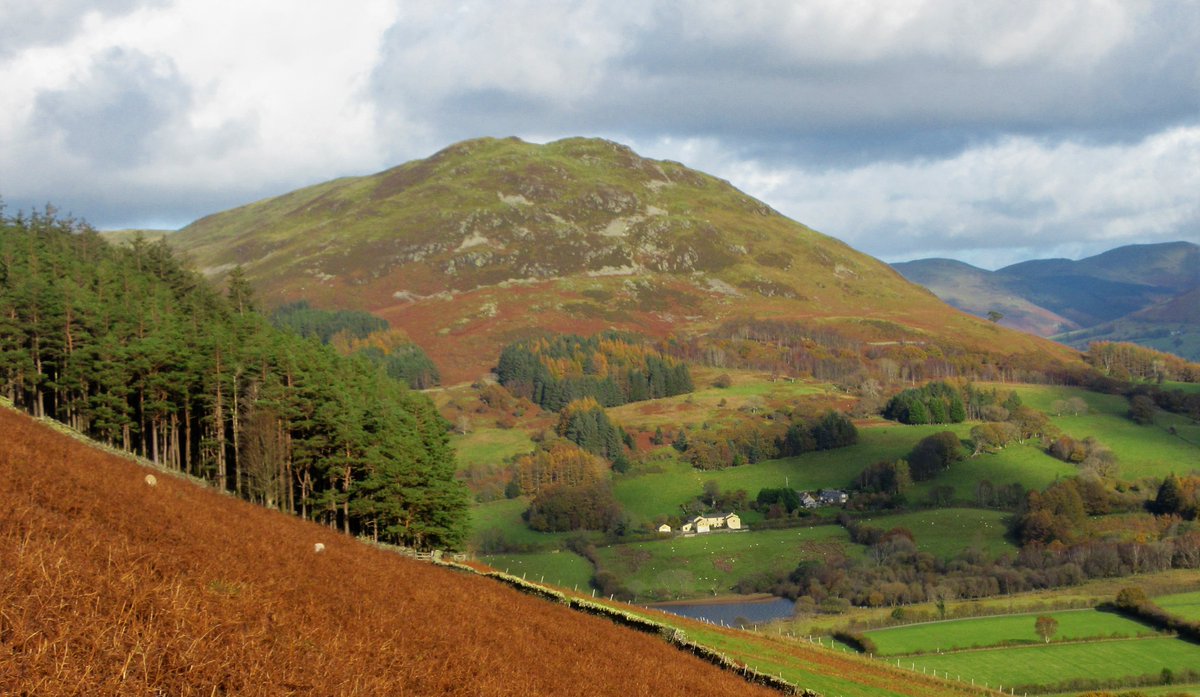 StanLeigh18's tweet photo. #BurnbankFell #BlakeFell #GavellFell walk today.
- Poor weather at Burnbank & Blake
- then, the rain stopped at Gavel - Knockmurton in view
- Grasmoor from #HighNook on Gavel Fell
- Approaching #HolmeWood & #Loweswater
Will post the HolmeWood & Loweswater images soon https://t.co/DCOxrTG1xj
