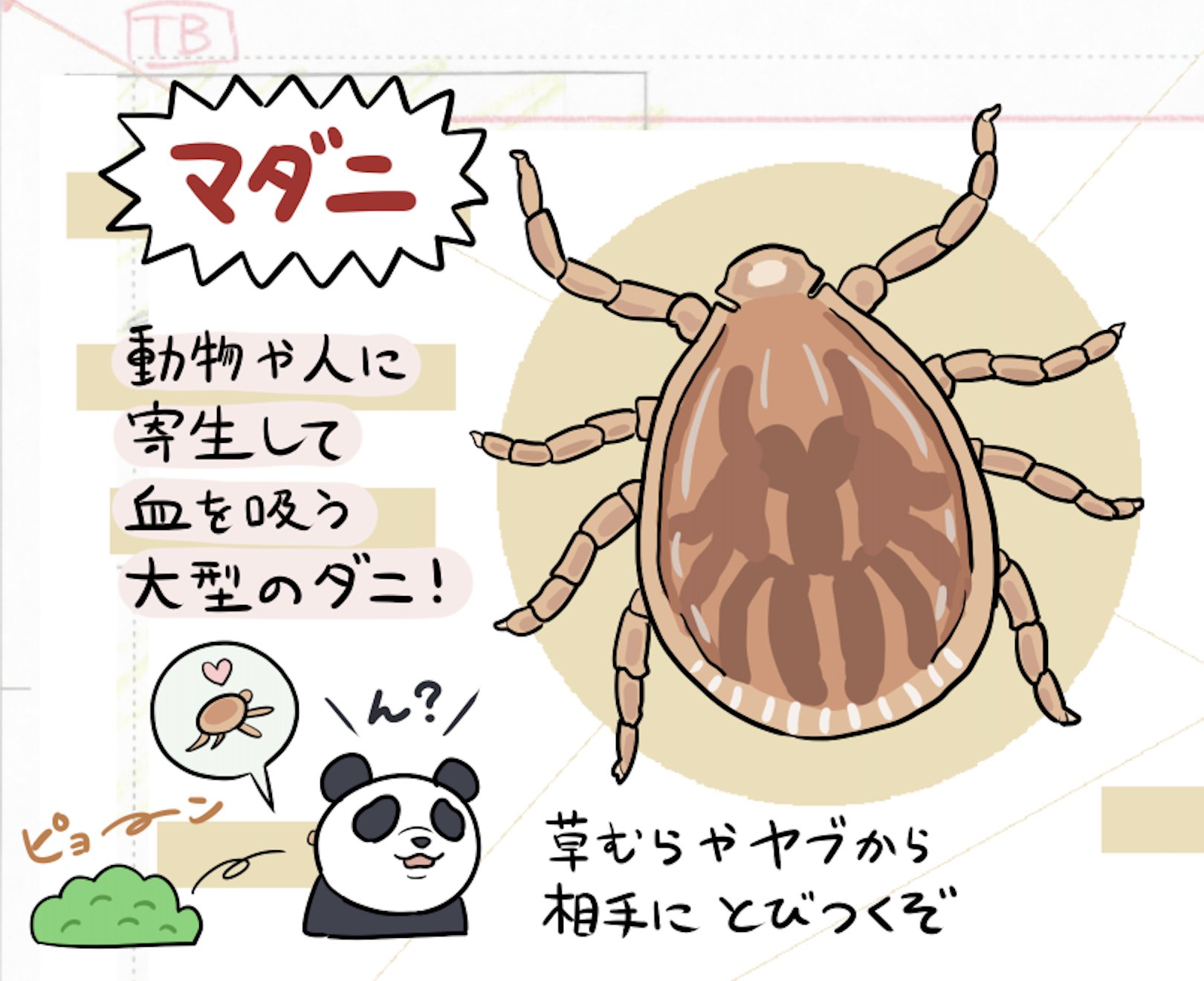 Twitter 上的 ぬまがさワタリ ゆかいないきもの超図鑑 ３ ８発売 あ ちょっと待って じゅじゅさんぽのパンダ先輩の おひさまの匂い ってもしかしてアレか あの都市伝説の 死んだダニがおひさまの匂いって そういうアレ だとしたら ご ごめんパンダ先輩