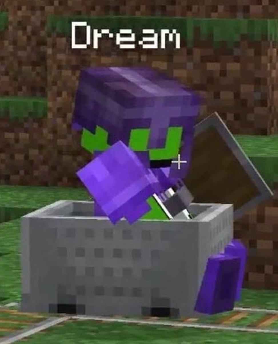 dream stans: -„i miss him“-everywhere-y’all really cool but the toxic people overshadow you:( -misses old mcyter a lot and you scream about it -SO CREATIVE !! -nice cosplays :)-wanna be good in minecraft but most of you suck </3-you protect him