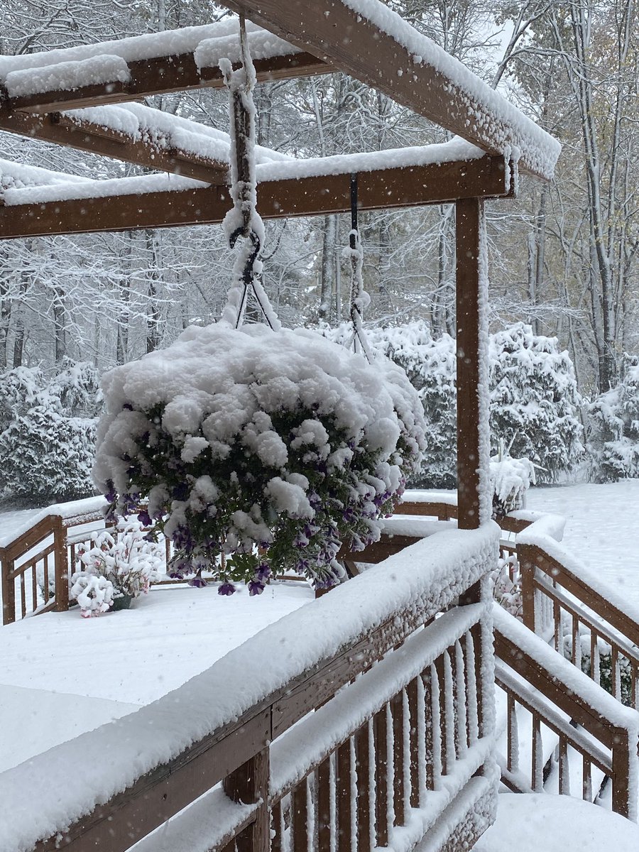 RachelYonkunas's tweet photo. Currently at my home in Connecticut... #Octsnowber https://t.co/jKkNBkeVFR