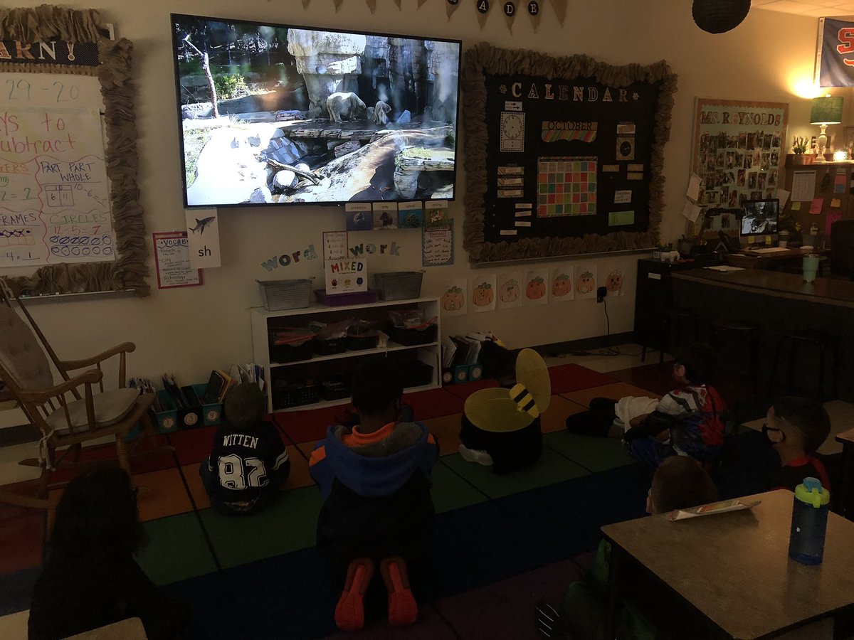 MsReynolds18's tweet photo. Today, in 1st grade, we took a virtual field trip to the San Diego Zoo to wrap up our ELA unit over animals! We had so much fun! 🐘🐅 #firstgrade #mckALLin https://t.co/CTtkVYiJ6Q