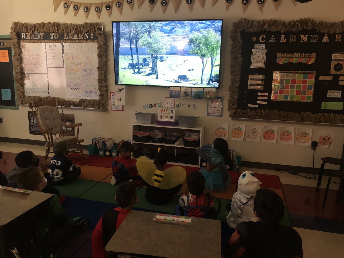 MsReynolds18's tweet photo. Today, in 1st grade, we took a virtual field trip to the San Diego Zoo to wrap up our ELA unit over animals! We had so much fun! 🐘🐅 #firstgrade #mckALLin https://t.co/CTtkVYiJ6Q