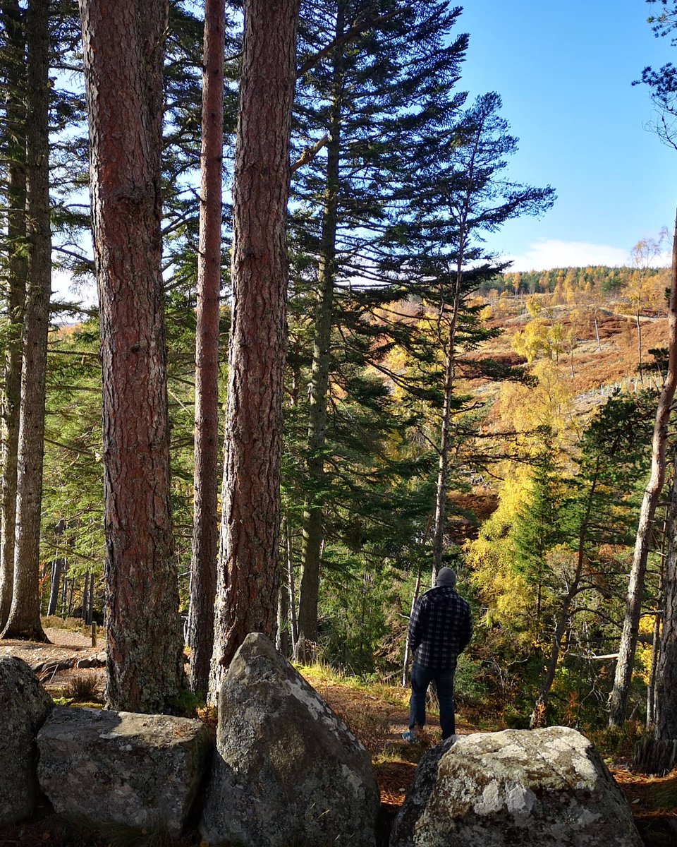 Kirsty0076's tweet photo. What a walk! 150m up with Mr R, through every autumn colour and under blue sky and sunshine beside the Falls of Bruar...lovely last day. The day started with tears and frustration but how can you not b happy with this around you ❤️ #fallsofbruar #houseofbruar #perthandkinross https://t.co/V6Xoe5wevZ
