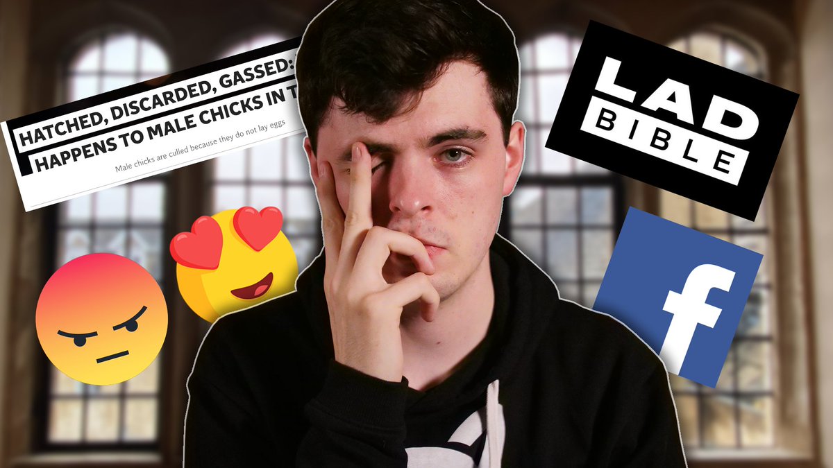 Alex O'Connor tweet media