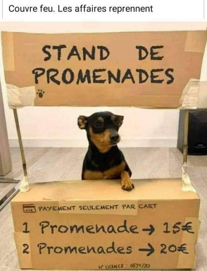 nathinphoenix's tweet photo. Avis à la population ! https://t.co/izvq22pxtv