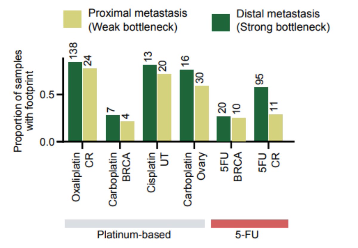 We can only observe the treatment mutations if a clonal expansion following the treatment has occurred. Inspired by recent publications ( @cncurtis), we observed that distal metastasis (with stronger bottleneck) are more likely to present a footprint, both of 5-FU and platins.