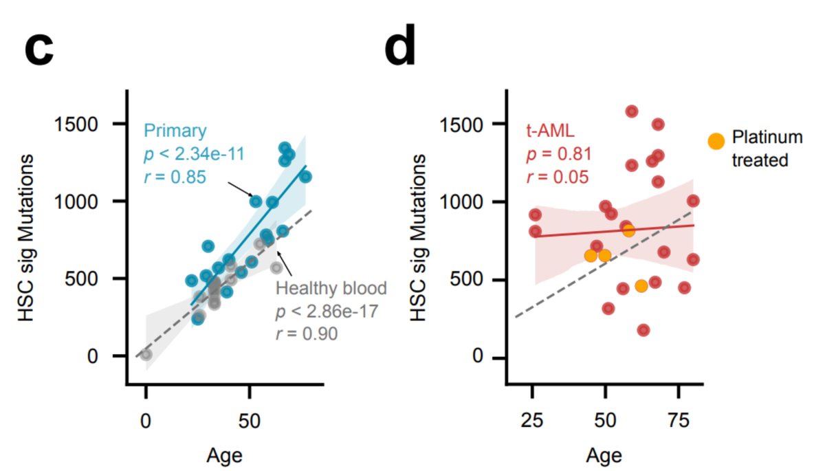 Chemos alter the developmental dynamics of the hematopoietic compartment, regardless of their mutagenic effect. In tAMLs (but not in primary AMLs) we observe a loss of the linear relationship between hematopoiesis mutations and the age of the donors seen in healthy hematopoiesis