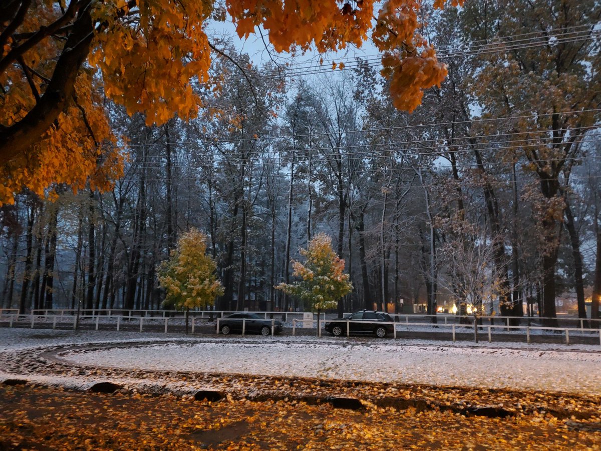PMontanye's tweet photo. A beautiful Saratoga Morning from the Chad Brown barn - 📸: Dr. April Downey.  @asia_savasta https://t.co/qgQDKPqJ8n