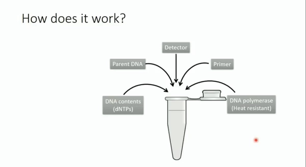 AfrahBawazeer's tweet photo. 📍شرح مبسط و واضح لمبدأ
 الـ Real Time PCR

The principle of Real Time PCR
https://t.co/GLY08wkQzL

📍الشرح تناول عدة جوانب منها:

📌الفرق في detector:
TaqMan &amp; Cyber Green المميزات و العيوب
📌الدور و العلاقة بين fluorophore &amp; quencher
📌مكونات و تصنيع 
Reverse transcription https://t.co/2OU5pQ88sU