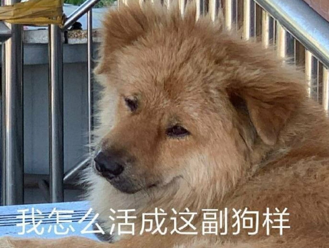 Mcake: Such a poor woman, look at ur yellow eye circle YY: yes, I'm pissed [meme: why am I living like a doge] #ShenYue