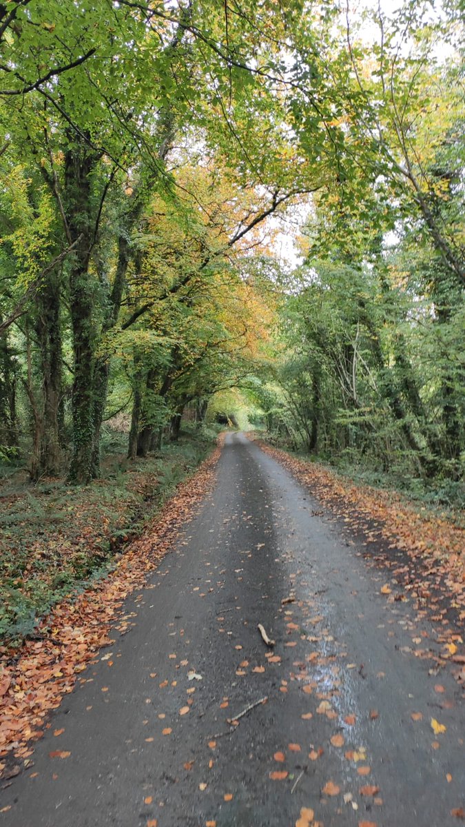 koresystem's tweet photo. Week 1 of KORE's 100KM for 30 Days for @SOSAD_Ireland
Cavan, Cork, Dublin and beyond, Team KORE have walked, cycled or ran a massive 318KM so far!
We are proud of all our team mates and cannot wait to see what Week 2 will bring! #TogetherWithKORE #100kmin30D https://t.co/dYoMJewFml