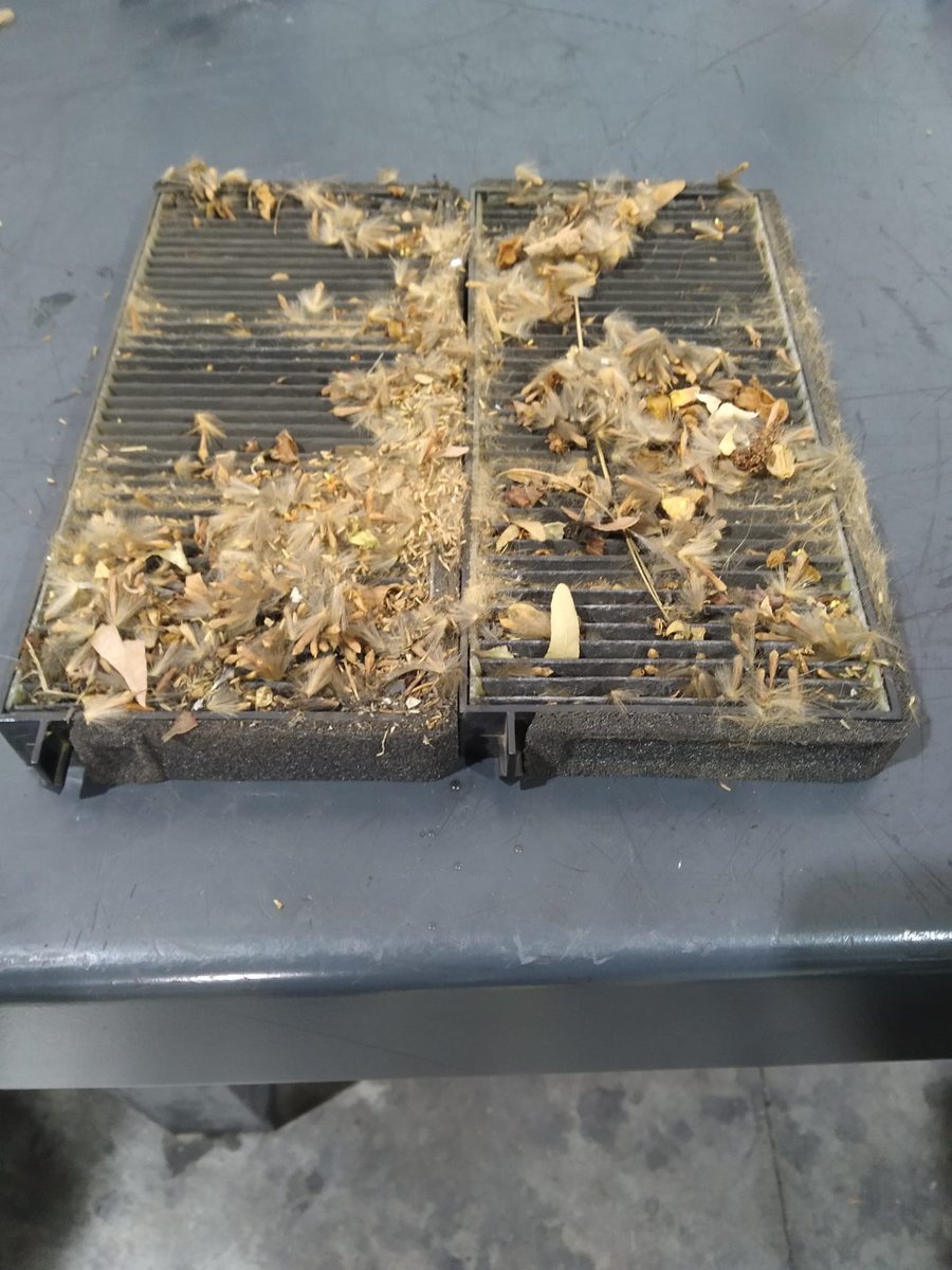 EMBA_BoschCarS's tweet photo. Así nos hemos encontrado esta mañana el #filtrodepolen de un #Rodius. Ojo 👀 !! Un correcto mantenimiento del #FiltrodeHabitáculo, es crítico para mantener el aire libre de #impurezas y #partículasnocivas...  No te despistes que mira lo que puede llegar a pasar...! 🤓😳😲🦇 https://t.co/c0uiz9UuC4