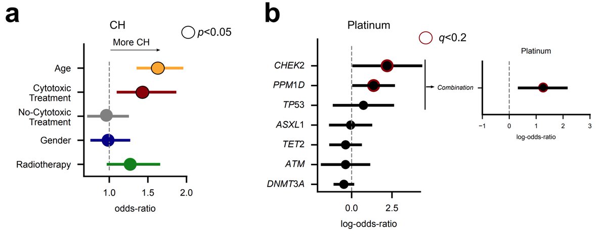 We and others ( @PapaemmanuilLab  @Goodell_Lab) have shown that treatment increases the likelihood of suffering CH. Also, some CH drivers are related to a previous exposure of particular chemotherapies. This seems to be the case of platinum drugs and PPM1D, for example.