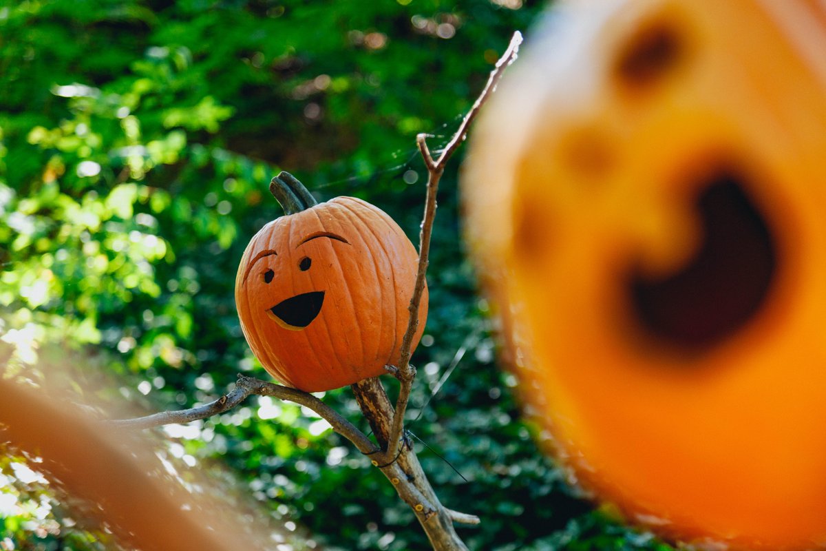 shopavize's tweet photo. It's #CheckList Day! Did you get a costume for tomorrow yet or is it a #DIY situation this year? 📑✔️ #Halloween #trickortreat #friyay #helloweekend https://t.co/dBccdTFVqw