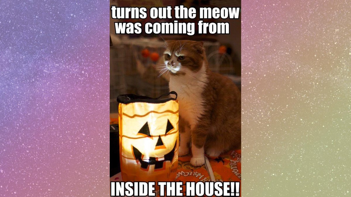 CrystalWizardry's tweet photo. #samhain #samhainblessings #samhainiscoming #happysamhain #samhain2020 #samhain🎃  #paganmemes #witchymeme #magickal #witchy #witchthings 🧙‍♂️ #crystalwizardry https://t.co/NI9sTB4Vx0