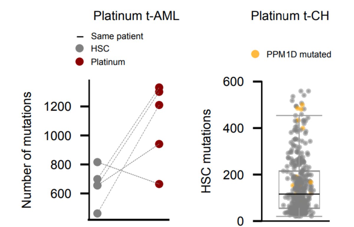 Remember we did see platinum footprint in tAMLs  ? We can use these samples to infer how many platinum mutations we expect given the number of hematopoiesis mutations observed in healthy blood samples.