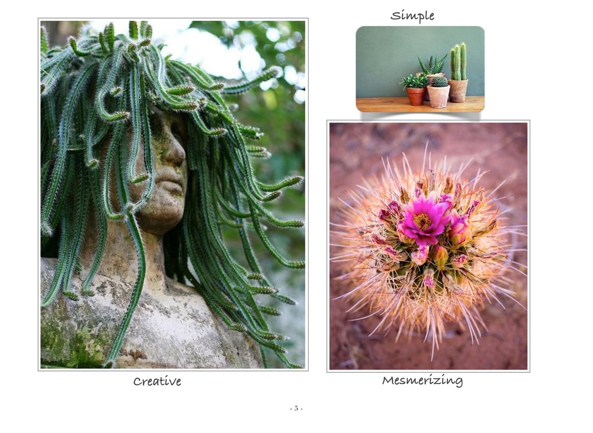 The lowest maintenance plant is succulents. 
Explore. 
chiefhomedesign.com/trend-alert-ca…
<a href="/ChiefHomeDesign/">Chief Home Design</a>