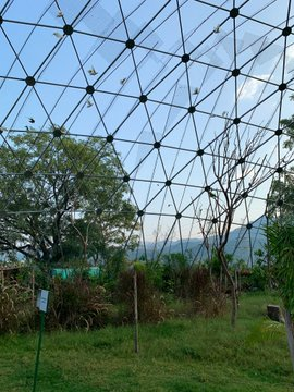 Prime Minister @narendramodi inaugurates Sardar Vallabhai Patel Zoological Park and Geodesic Aviary Dome in Kevadia
Read more: https://t.co/WYRAvllsYT https://t.co/qDtA6TpSQv