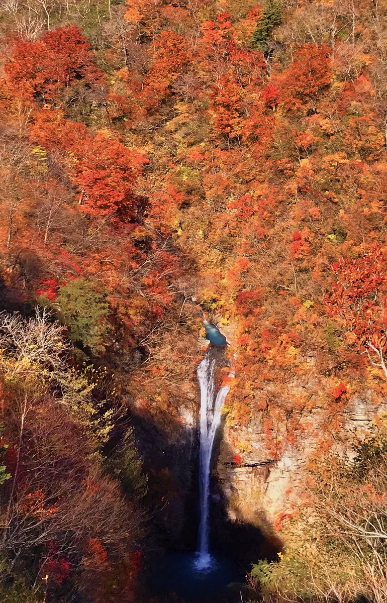 今日はこんな紅葉に出会えて最高でした!
#滝 #写真好きな人と繋がりたい #写真撮ってる人と繋がりたい #ファインダー越しの私の世界 #写真の奏でる私の世界 #空のある風景 #空 #風景写真 #イマソラ #朝焼け #那須 https://t.co/q0HktkuoMf
