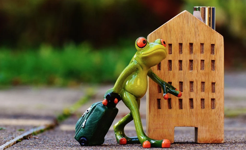 HopFrogEnt's tweet image. Encore une fois, le rideau se ferme sur les scènes de théâtre. Notre petite grenouille va rester sagement sur son nénuphar, attendant de (re)bondir à nouveau. Cher(e)s artistes et directeurs/rices de théâtre avec qui nous collaborons ou avons collaboré. Prenez soin de vous...