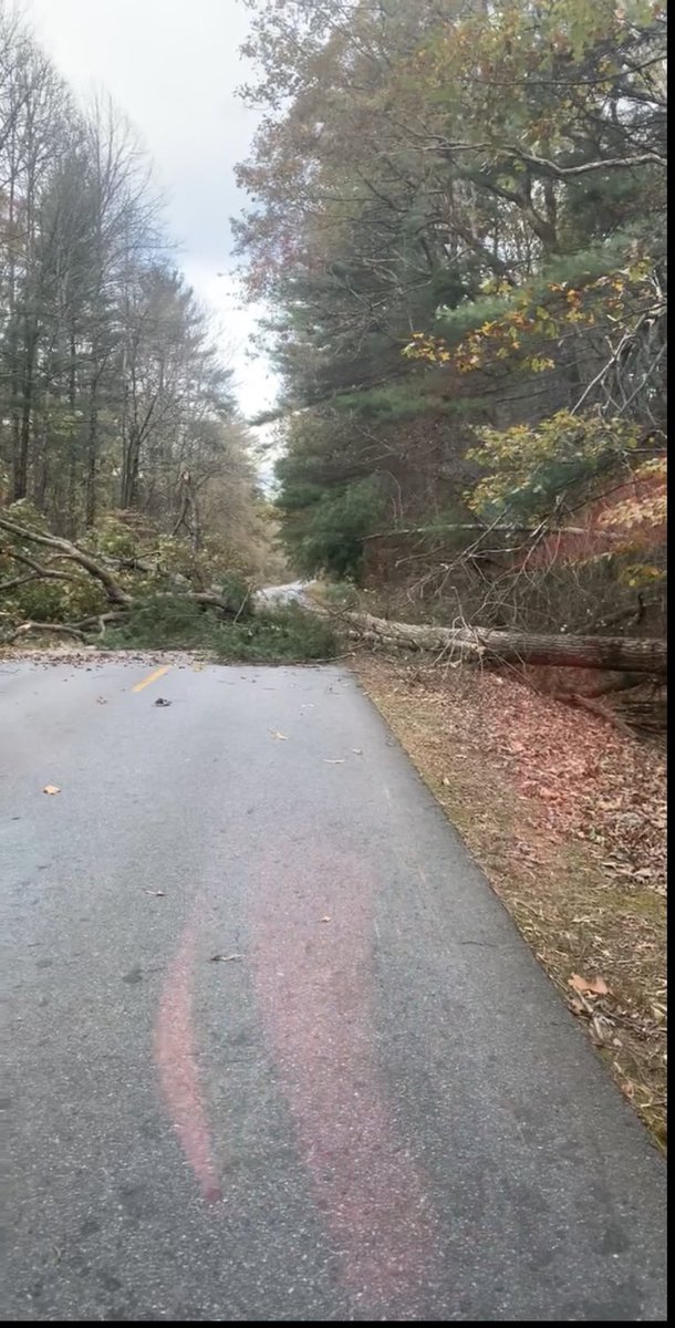 etmoody's tweet photo. Tree down across parkway between Brevard Road and Hendersonville Road @WLOS_13 @asheville https://t.co/ECR7XWmc4U