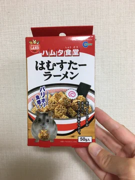 画像 / Picture