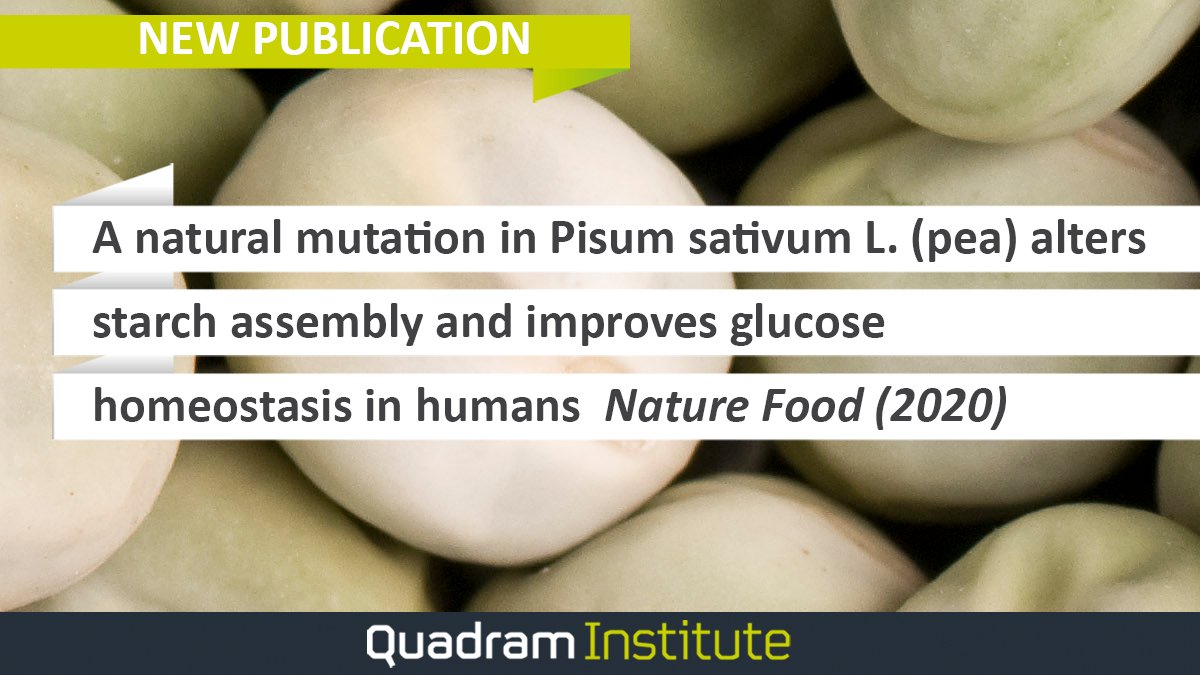 TheQuadram's tweet image. 📄 New #publication in @nresearchnews co-authored by the Quadram's Louise Salt, @Cat_hEdwards, @Starchlab, Natalia Perez-Moral, Kathryn L. Cross, Lee Kellingray, Rachael Stanley, Todor Koev, @NarbadLab, and @pete_wilde (@WildeLab). 

🔗 ow.ly/hw7F50C3YhP #FoodScience
