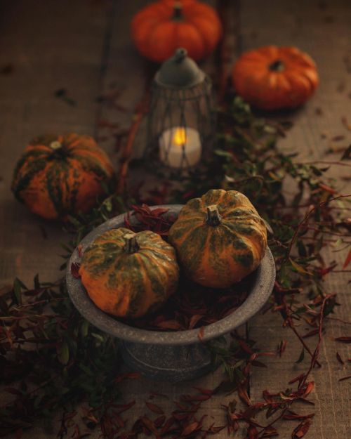 ⠀

               *  . 　*   ⋆  #hgwartsxhalloween 

⠀