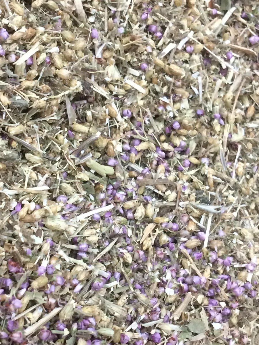 Herbal additions to Beerblefish Viking Ale