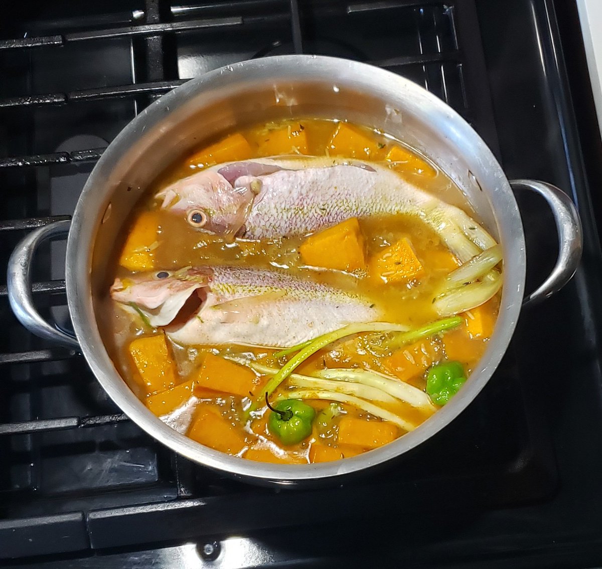 Vashti 🇯🇲 tweet media