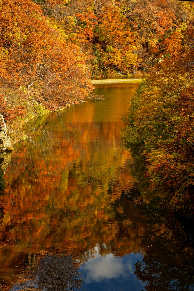 eltkd7's tweet photo. 3年ぶりの北海道は紅葉が見頃でした。

#ファインダー越しの私の世界
#10月を写真4枚で振り返る 
#10月ふぉと #Nikon
#紅葉 #北海道 #photography https://t.co/SpG2Q64fHv