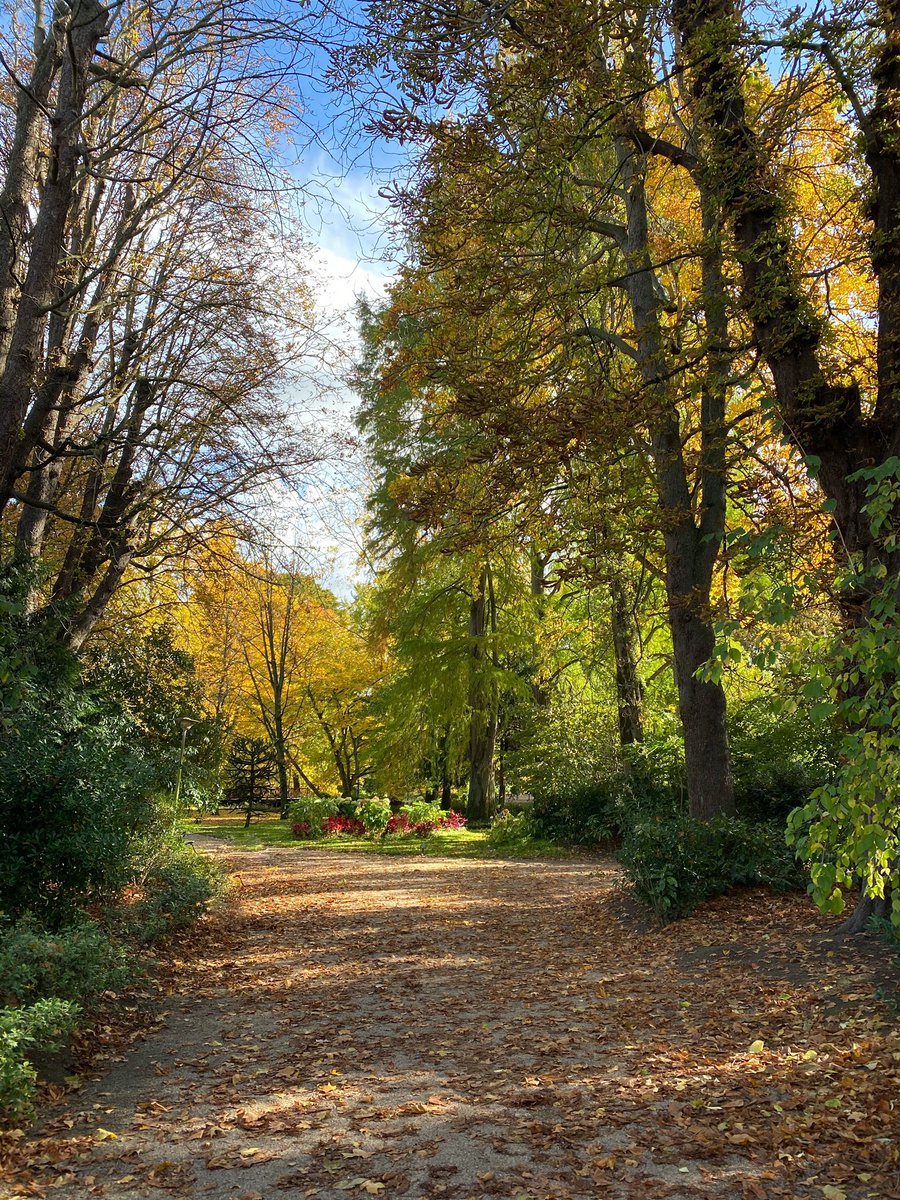 manonbna's tweet photo. Le jardin des Prébendes à Tours, un des 6 jardins de Touraine à posséder le label Jardin Remarquable 🌳#ValdeLoire #MagnifiqueFrance https://t.co/ZujVY15I3y