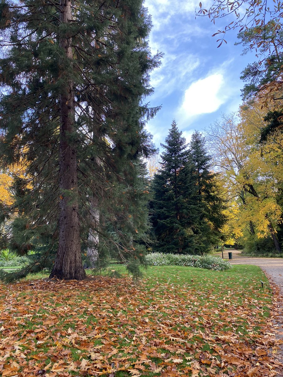 Le jardin des Prébendes à Tours, un des 6 jardins de Touraine à posséder le label Jardin Remarquable 🌳#ValdeLoire #MagnifiqueFrance
