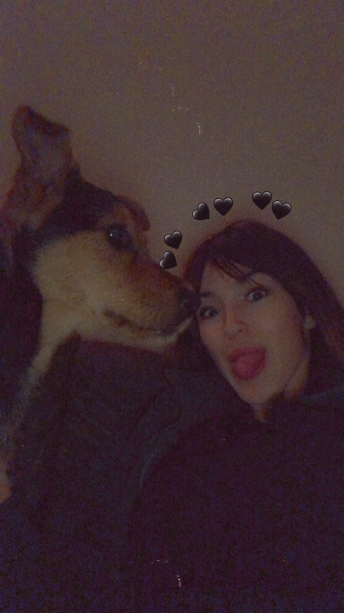 tbardwell04's tweet photo. Welcome home Lady B! ❤️🐾 https://t.co/SIz7XocwOL