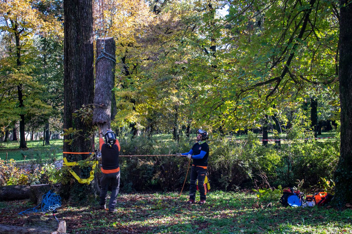 Harken_SandR's tweet photo. Arb workshop training in collaboration with @ScuolaAgrariaMB. The session, run by Stefano Lorenzi and Luca Bonoldi, looked at how Harken winches can be used for the controlled felling of trees.
#Winches #Arb #Arborist #ArbTraining #ArbLife #TreeRigging #TreeClimbing #RopeAccess https://t.co/nWIJO2BnlD