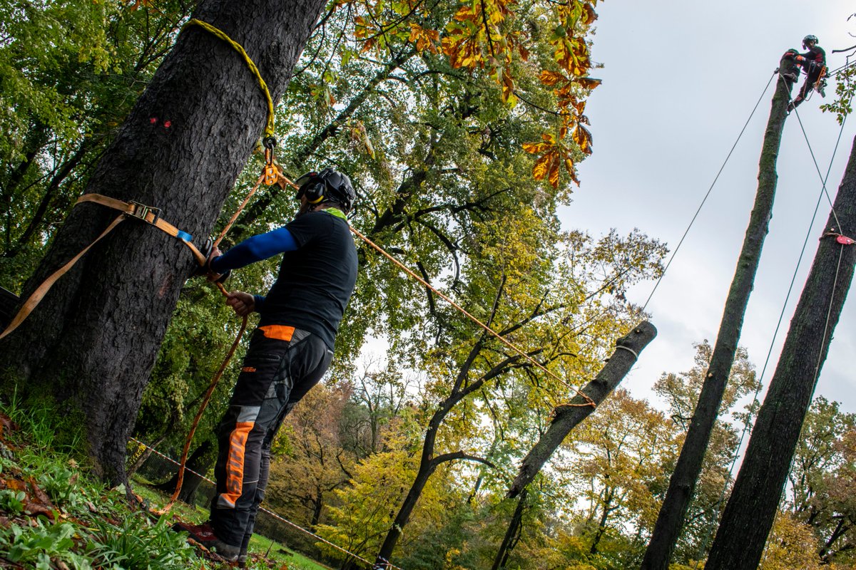 Harken_SandR's tweet photo. Arb workshop training in collaboration with @ScuolaAgrariaMB. The session, run by Stefano Lorenzi and Luca Bonoldi, looked at how Harken winches can be used for the controlled felling of trees.
#Winches #Arb #Arborist #ArbTraining #ArbLife #TreeRigging #TreeClimbing #RopeAccess https://t.co/nWIJO2BnlD
