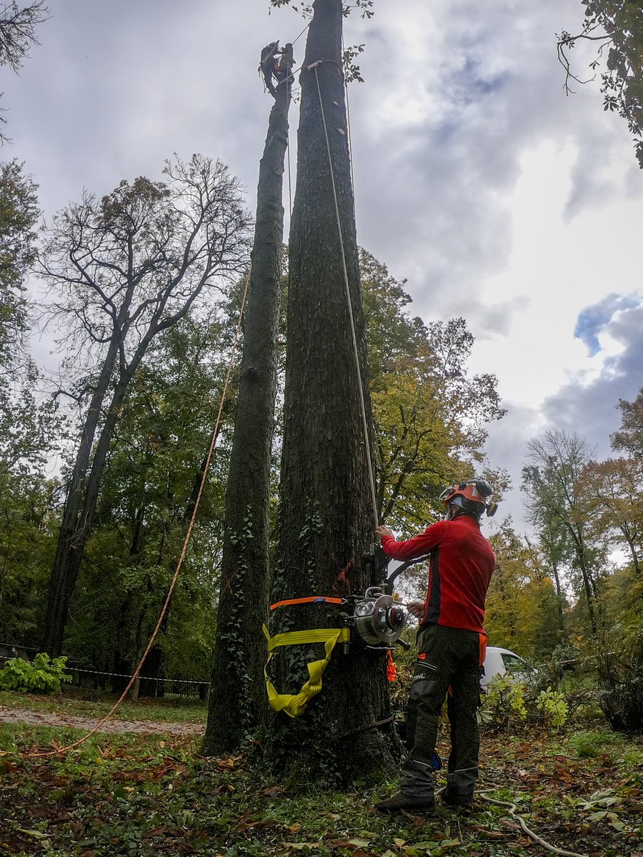 Harken_SandR's tweet photo. Arb workshop training in collaboration with @ScuolaAgrariaMB. The session, run by Stefano Lorenzi and Luca Bonoldi, looked at how Harken winches can be used for the controlled felling of trees.
#Winches #Arb #Arborist #ArbTraining #ArbLife #TreeRigging #TreeClimbing #RopeAccess https://t.co/nWIJO2BnlD