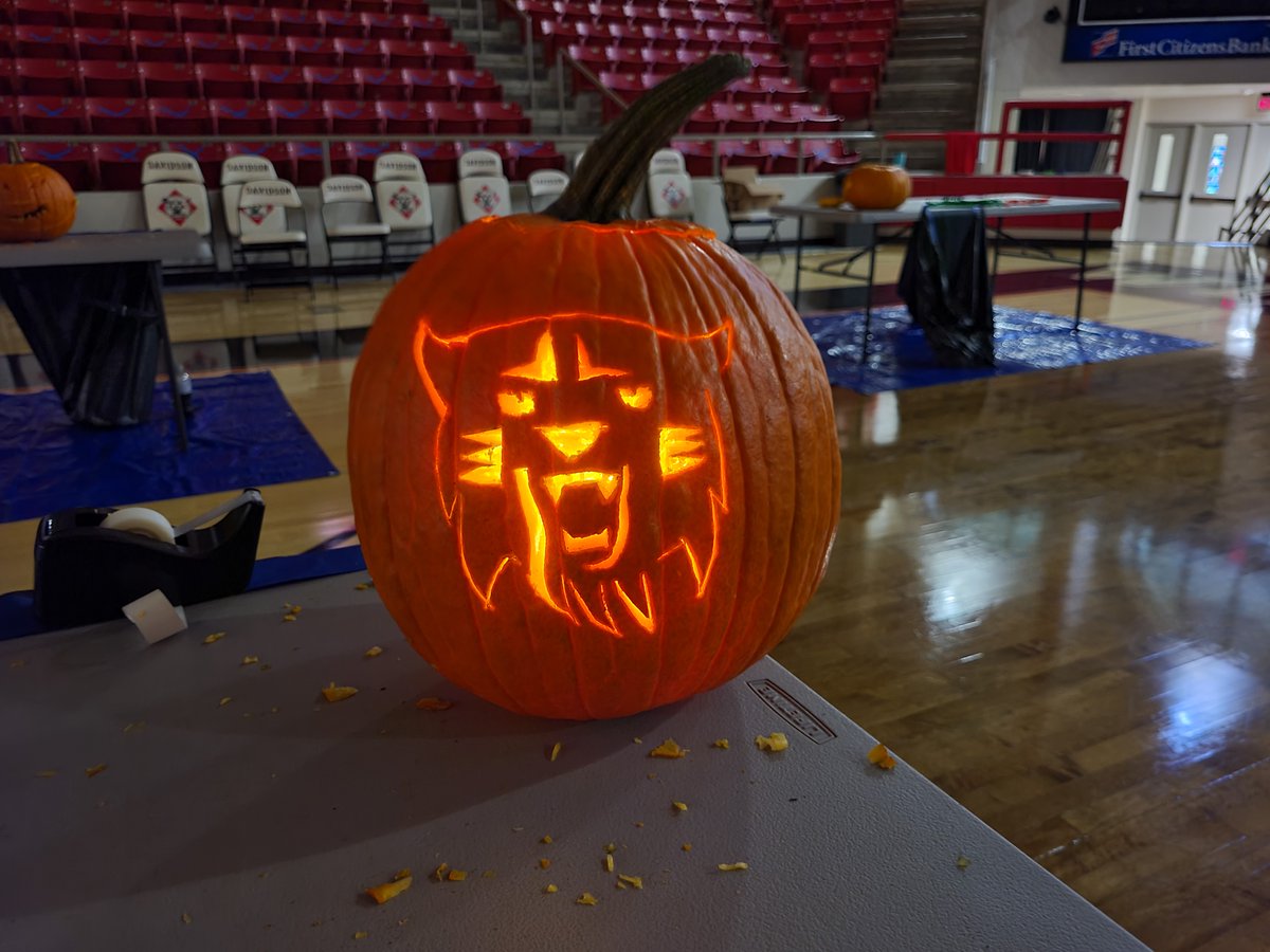 Retweet or Like if you think <a href="/DavidsonLax/">Davidson Lacrosse</a>'s Wildcat Icon design should be our winner!

#CatsAreWild #SpookySzn