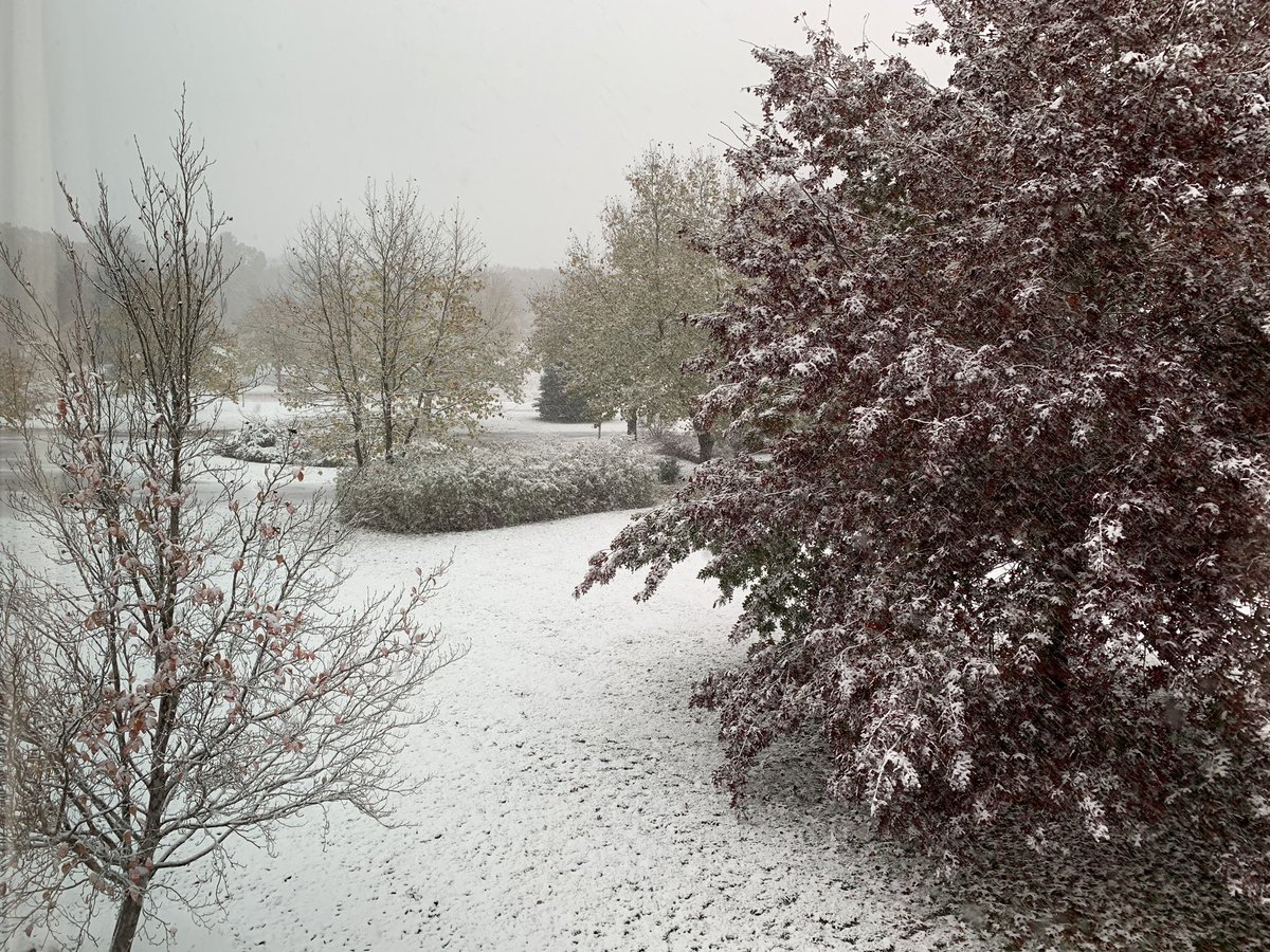 Steven Reingold tweet media