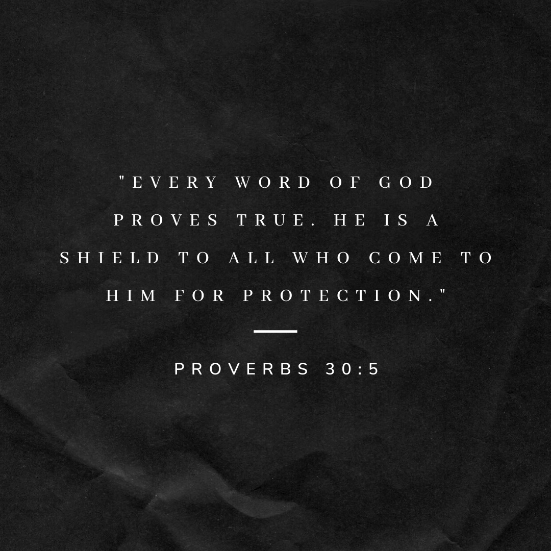 CollegeAveSD's tweet image. #WisdomChallenge #ReadWriteShare #Proverbs30 #DailyBibleVerse