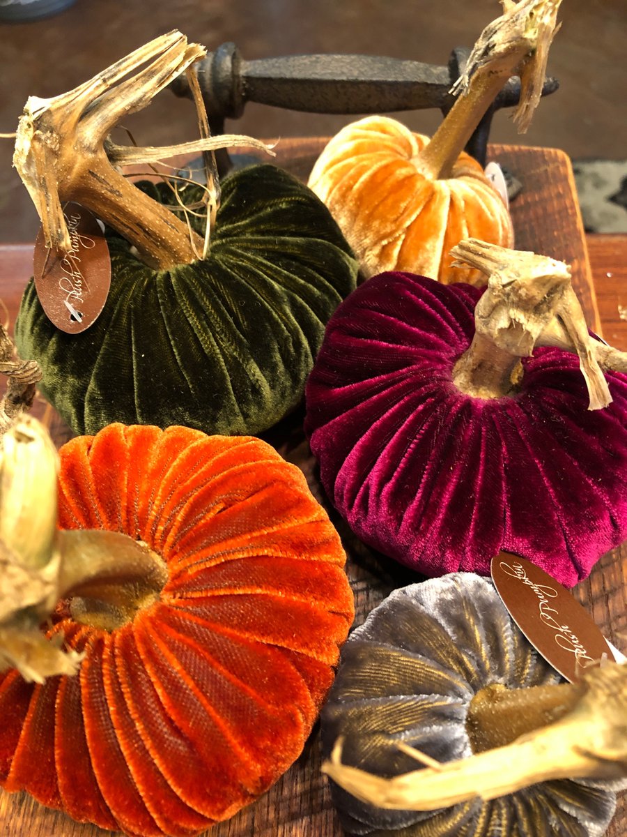 ReviveCompany's tweet photo. Lush and beautiful Plush Pumpkins.
Fall colors galore! https://t.co/dujKvh4MaS